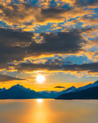 Her Terminal Illness Script